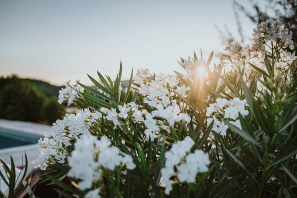 Un mariage en Provence au Clos du Tuilier